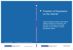 Freedom of Expression on the Internet
