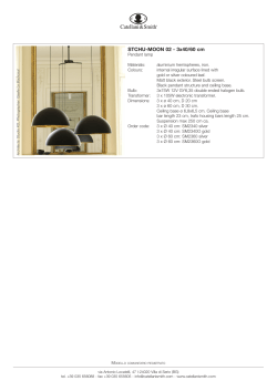 STCHU-MOON 02 - 3x40/60 cm