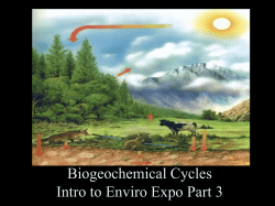 Carbon cycle