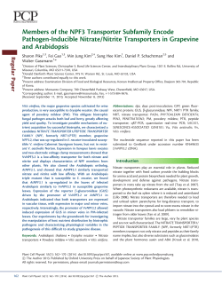Members of the NPF3 Transporter Subfamily
