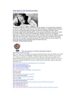bob cats newsletter 2008-03-21