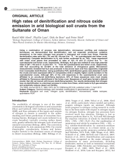 High rates of denitrification and nitrous oxide emission in