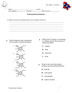 Photosynthesis Questions