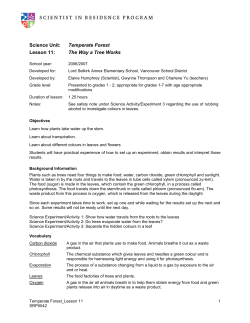 The Way a Tree Works - Scientist in Residence Program