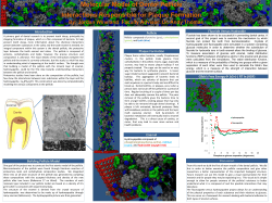 Genigraphics Research Poster Template 36x48