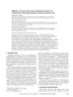 Influence of strain rate on the mechanical behavior of cortical bone