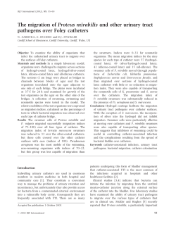 The migration of Proteus mirabilis and other urinary tract pathogens