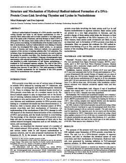 Protein Cross-Link Involving Thymine and