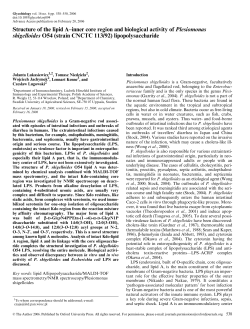 Structure of the lipid A&ndash;inner core region and biological activity of