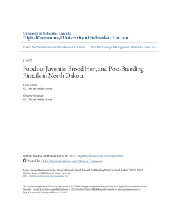 Foods of Juvenile, Brood Hen, and Post