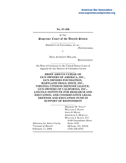 Brief for Gun Owners of America, Inc., the Gun Owners Foundation