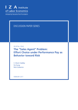The &ldquo;Sales Agent&rdquo; Problem: Effort Choice under Performance Pay as