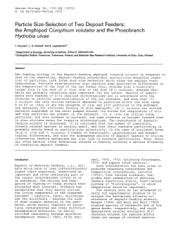 Particle size-selection of two deposit feeders: the amphipod