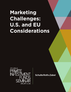 Marketing Challenges: US and EU Considerations