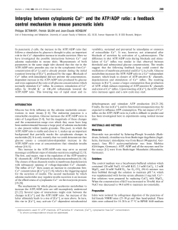 Interplay between cytoplasmic Ca2+ and the ATP/ADP