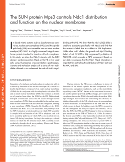 The SUN protein Mps3 controls Ndc1 distribution and function on