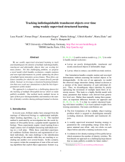 Tracking indistinguishable translucent objects over time using