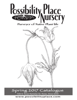 Catalog - Possibility Place Nursery