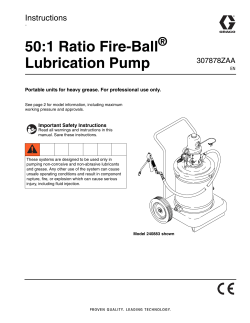 307878ZAA, 50:1 Ratio Fire-Ball Lubrication Pump
