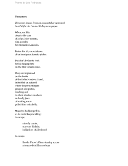 Poems by Luis Rodriguez Tomatoes The poem
