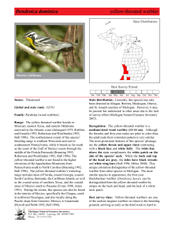 Dendroica dominica - Michigan Natural Features Inventory