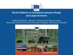 EU Platform on Coexistence between People and Large Carnivores