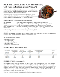 RICE and LENTILS - Cherry Sprout Produce