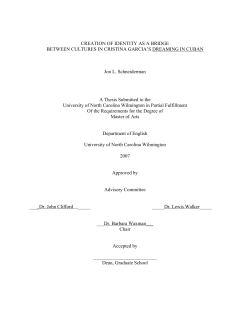 CREATION OF IDENTITY AS A BRIDGE BETWEEN