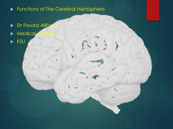 21-Cerebral hemisphere functions