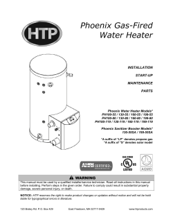 Phoenix Gas-Fired Water Heater