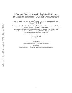 A Coupled Stochastic Model Explains Differences in Circadian