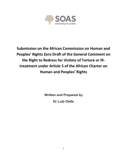 Submission on the African Commission on Human and Peoples