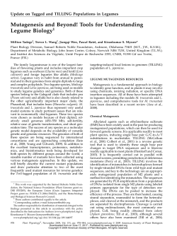 Mutagenesis and Beyond! Tools for