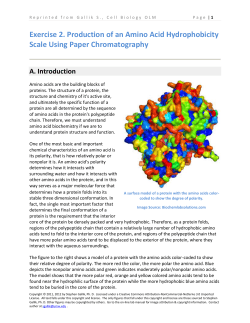 Exercise 2. Production of an Amino Acid Hydrophobicity Scale Using