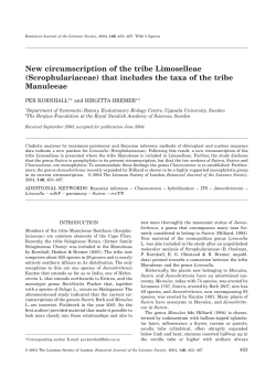 Kornhall and Bremer 2004