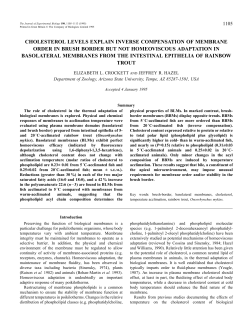 cholesterol levels explain inverse compensation of membrane order