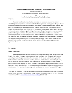 Beavers and Conservation in Oregon Coastal