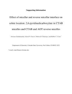 Effect of micellar and reverse micellar interface on solute location: 2