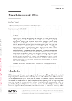 Drought Adaptation in Millets