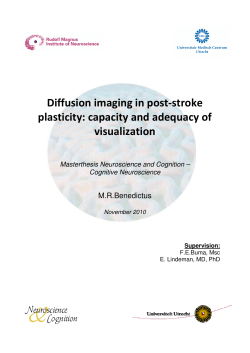 Diffusion imaging in post-stroke plasticity: capacity and adequacy of