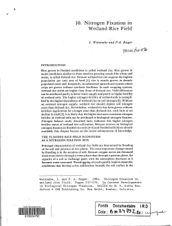Nitrogen fixation in wetland rice field