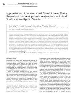 Hypoactivation of the Ventral and Dorsal Striatum During