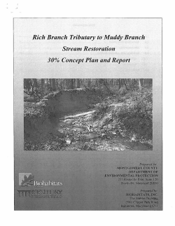 Rich Branch Tributary to Muddy Branch Stream
