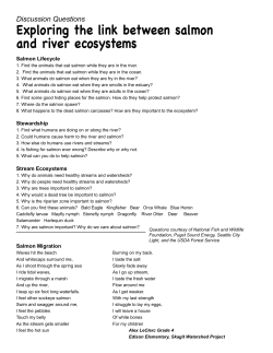Discussion Questions - Salmonids in the Classroom