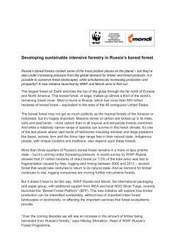 Developing sustainable intensive forestry in Russia`s boreal forest