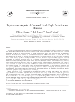 Taphonomic Aspects of Crowned Hawk
