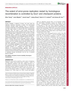 The extent of error-prone replication restart by homologous