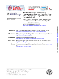 Fyn Substrate, Sin of the T Lymphocyte Adapter Molecule and