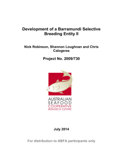 Development of a Barramundi Selective Breeding Entity II