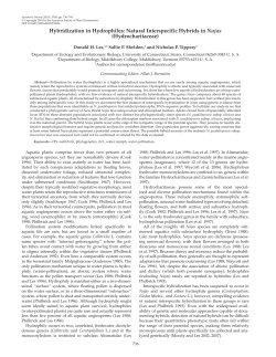 C:\Documents and Settings\Don...0wo.default\Cache\E6868359d01